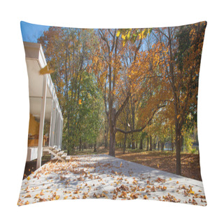 Personality  White Arbor Pillow Covers