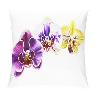 Personality  Three Beautiful Colorful Orchid Flowers. Watercolor Painting. Exotic Plant. Floral Print. Botanical Composition. Wedding And Birthday. Greeting Card. Flower Painted Background. Hand Drawn Illustration. Pillow Covers