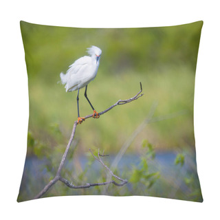 Personality  Snowy Egret Perched On The Branch At St. Andrews State Park Pillow Covers