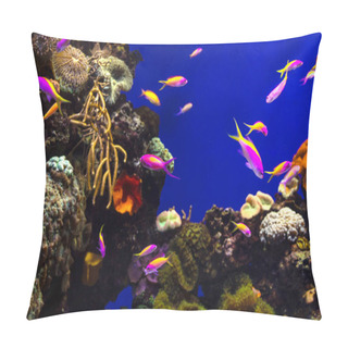 Personality  Colorful Coral Reef With Tropical Fishes Pillow Covers