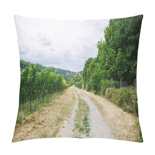 Personality  Road To Village And Vineyard With Trees On Sides In Wurzburg, Germany Pillow Covers