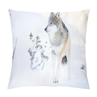 Personality  Wolf Stands In Beautiful Winter Forest Pillow Covers