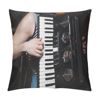 Personality  Classic Musical Instrument An Accordion Pillow Covers