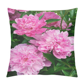 Personality  Bouquet Of Fresh Pink Peonies Pillow Covers