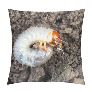Personality  Grub Of Cockchafer Eats Ant Pillow Covers