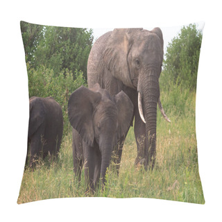 Personality  Elephant And A Baby Elephant. Tarangire, Tanzania Pillow Covers