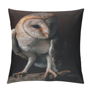 Personality  Cute Wild Barn Owl On Wooden Branch On Dark Background Pillow Covers