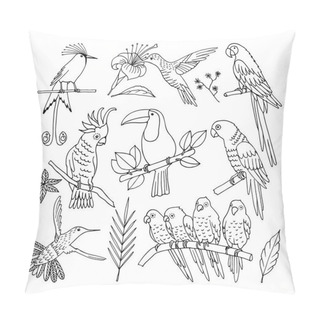 Personality  Tropical Bird, Illustration, Vector Pillow Covers