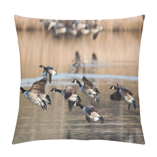 Personality  Canada Goose In Habitat. His Latin Name Is Branta Canadensis. Pillow Covers
