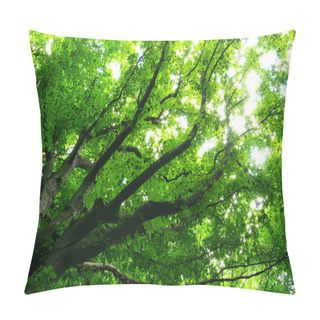 Personality  Spring Summer Flora, Green Leaves Pillow Covers