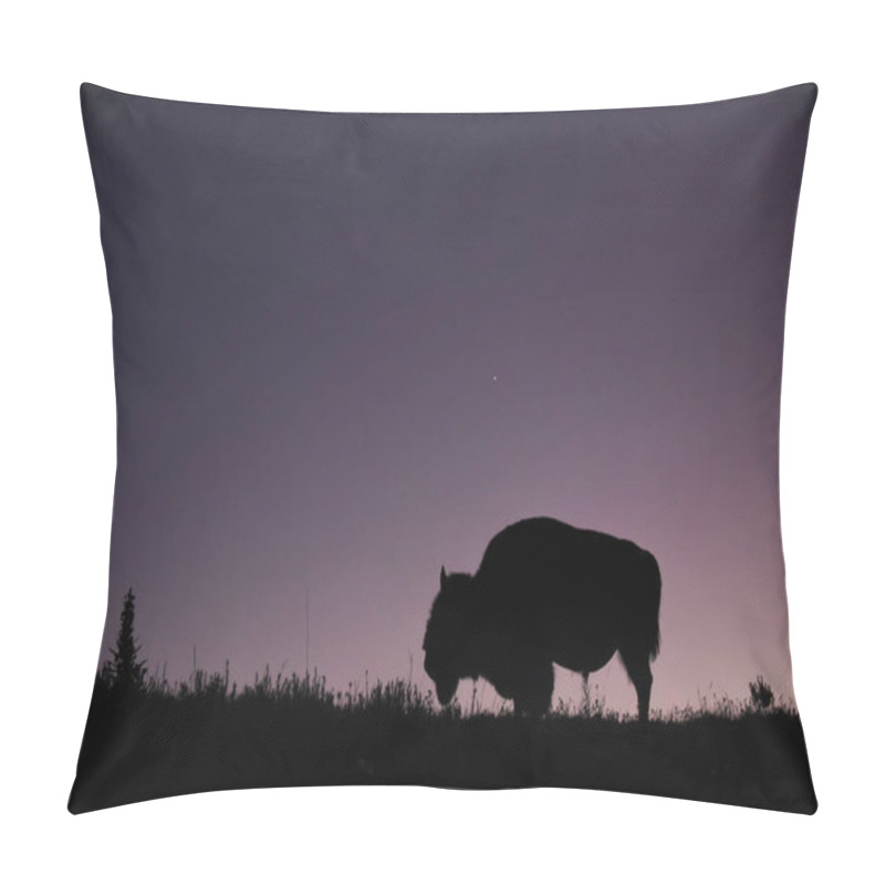 Personality   A Lone Bull Bison Grazes In The Blue Hour Of Sunset, Hayden Valley, Yellowstone National Park Pillow Covers