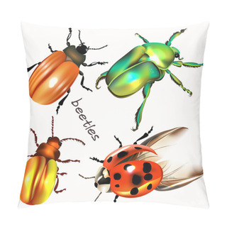 Personality  Collection Of Vector Realistic Colorful Beetles For Design Pillow Covers