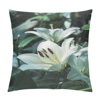 Personality  Close Up View Of White Lily Flowers Pillow Covers