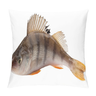 Personality  Perch Pillow Covers