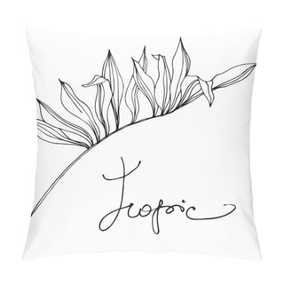 Personality  Palm Beach Tree Leaves Jungle Botanical Succulent. Black And White Engraved Ink Art. Isolated Leaf Illustration Element. Pillow Covers