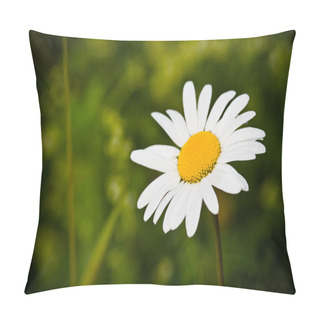 Personality  Chamomile Closeup Pillow Covers