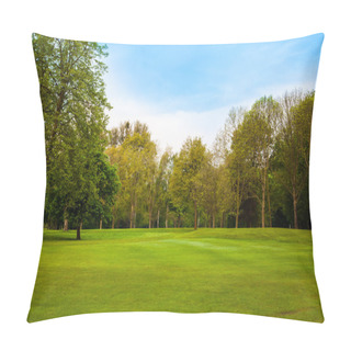 Personality  Beautiful Summer Landscape. Green Field And Trees Pillow Covers