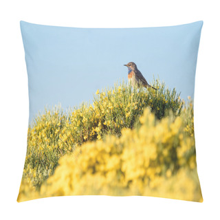Personality  Bluethroat Bird Luscinia Svecica In Colorful Spring Pillow Covers