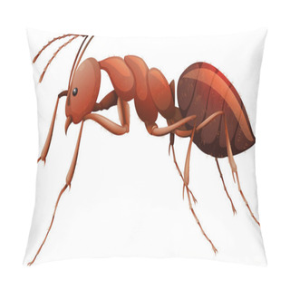 Personality  Close Up Of Red Ant In Cartoon Style On White Background Illustration Pillow Covers
