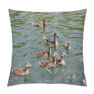 Personality  Selective Focus Of Flock Of Duckling With Mother Swimming In Pond  Pillow Covers