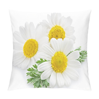 Personality  Chamomile Or Camomile Flowers. Pillow Covers