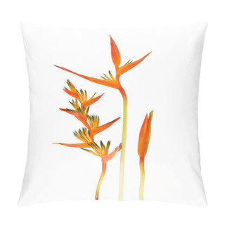 Personality  Beautiful Red, Yellow And Orange Heliconia (Heliconia Spp.) Pillow Covers