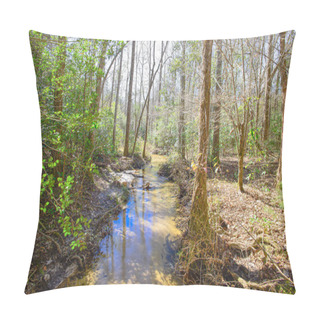 Personality  The Gentle Whisper Of A Brook That Runs Through The Garden Of Eden Trail. Pillow Covers