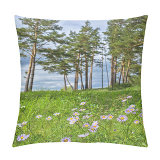 Personality  Wild Plant Of Siberia, Alpine Aster ( Aster Alpinus L. ) Pillow Covers