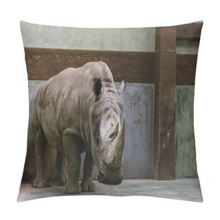 Personality  Front View Of Endangered White Rhino Standing At Zoo  Pillow Covers