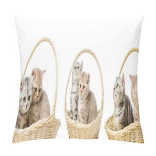 Personality  Collage Of Cats In Basket Isolated On White Pillow Covers