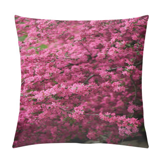 Personality  Beautiful Bright Pink Almond Blossoms On Branches Pillow Covers