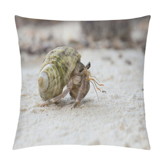 Personality  Hermit Crab In The Shell Of A Snail Pillow Covers