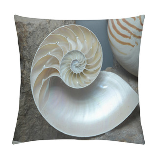 Personality  Stock Photograph Of A Half Shell Nautilus Pompilius Pillow Covers