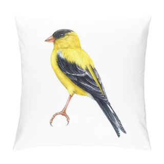 Personality  Goldfinch Bird Watercolor Illustration. Spinus Tristis Realistic Detailed Single Image. Hand Drawn North American Native Yellow Bird. Goldfinch Wildlife Forest Avian Isolated On White Background. Pillow Covers