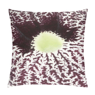 Personality  Closeup Of A Aristolochia Flower, Birthworts, Pipevines, Dutchman's Pi Pillow Covers