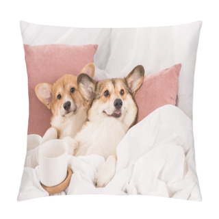 Personality  Pembroke Welsh Corgi Dogs Lying In Bed With White Cups At Home Pillow Covers