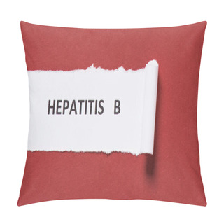 Personality  Top View Of Lettering Hepatitis B On Paper On Red Background, World Hepatitis Day Concept Pillow Covers