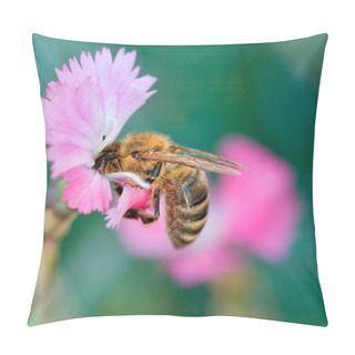 Personality  Bee On Flower Pillow Covers
