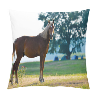 Personality  A Wild Horse Head Profile Portrait Pillow Covers