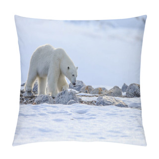 Personality  Polar Bear In The Snow Pillow Covers