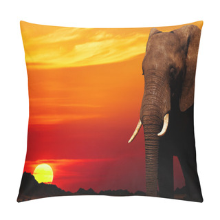 Personality  African Elephant In Savanna At Sunset Pillow Covers