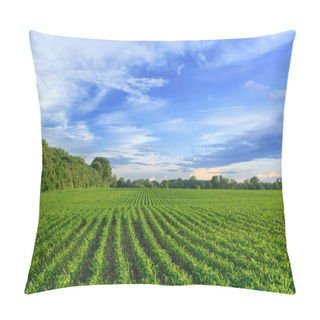Personality  Corn Field Pillow Covers