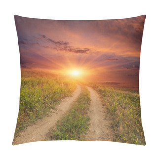 Personality  Road In Steppe On Sunset Pillow Covers