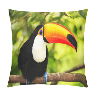 Personality  Colorful Tucan In The Aviary Pillow Covers