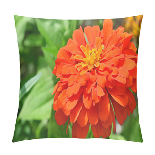 Personality  Beautiful Blossomed Red Zinnia Elegans Flower And Green Leaves In The Garden Pillow Covers