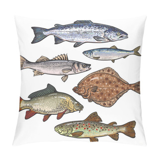Personality  Colorful Sea Fish Sketch Style Collection Isolated On White Background Pillow Covers