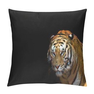 Personality  A Tiger Ready To Attack Looking At You Pillow Covers