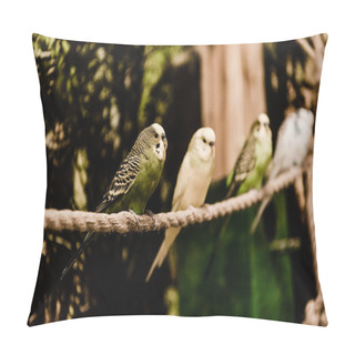 Personality  Selective Focus Of Parrots Sitting On Rope In Zoo Pillow Covers
