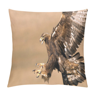 Personality  Adult Female Of Golden Eagle. Aquila Chrysaetos Pillow Covers