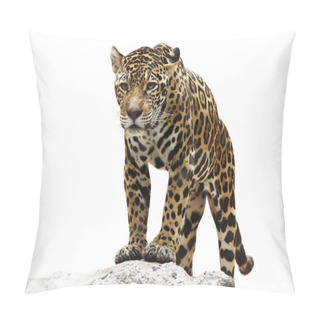 Personality  Leopard On The Rock Pillow Covers